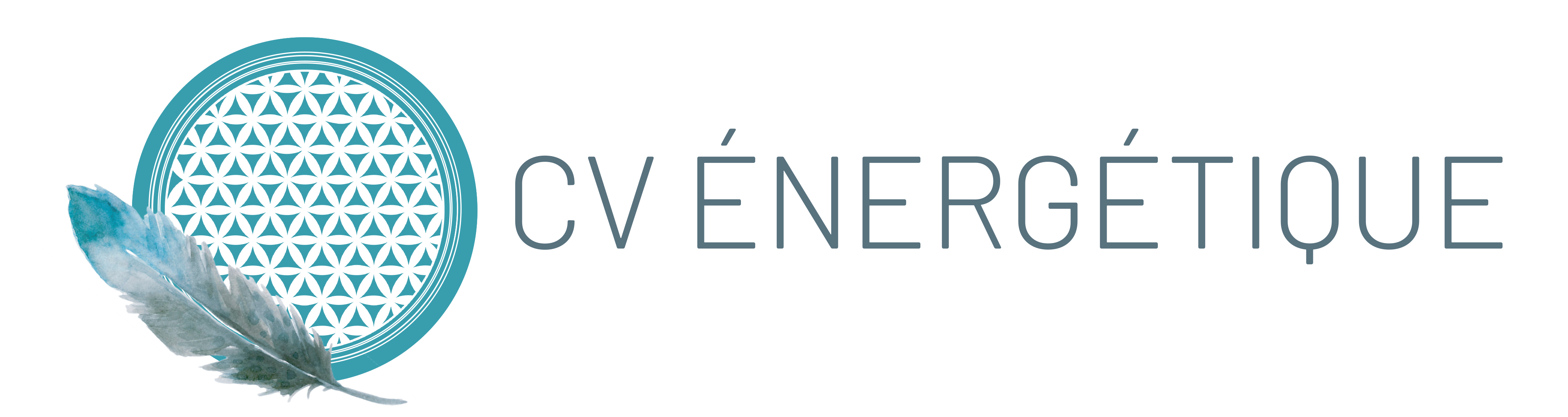 CV Energétique