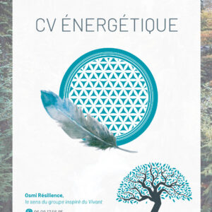 CV énergétique (recharge individuelle)